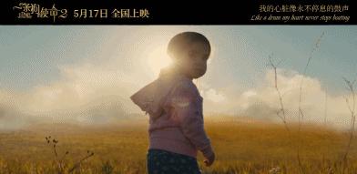 狗狗的第二次重生怎样取名字,狗狗轮回的一生