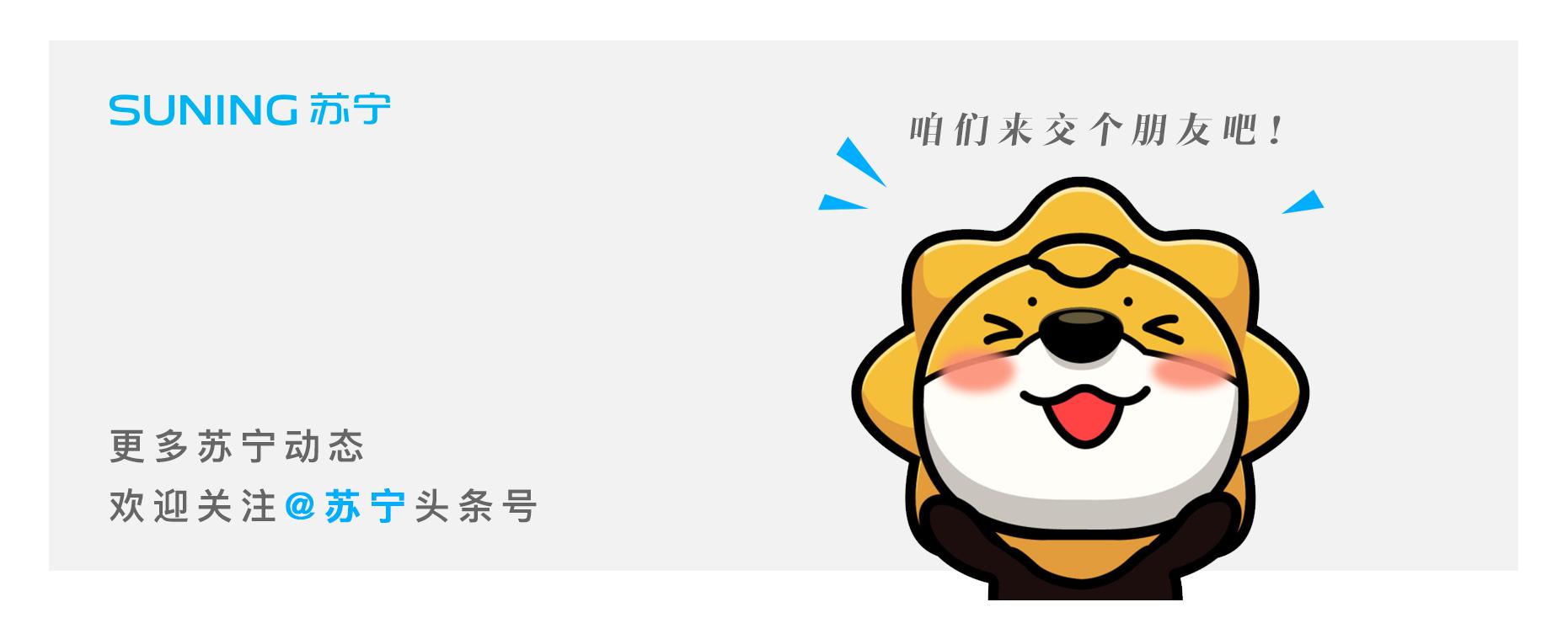 双11苏宁解读,苏宁双11省钱攻略