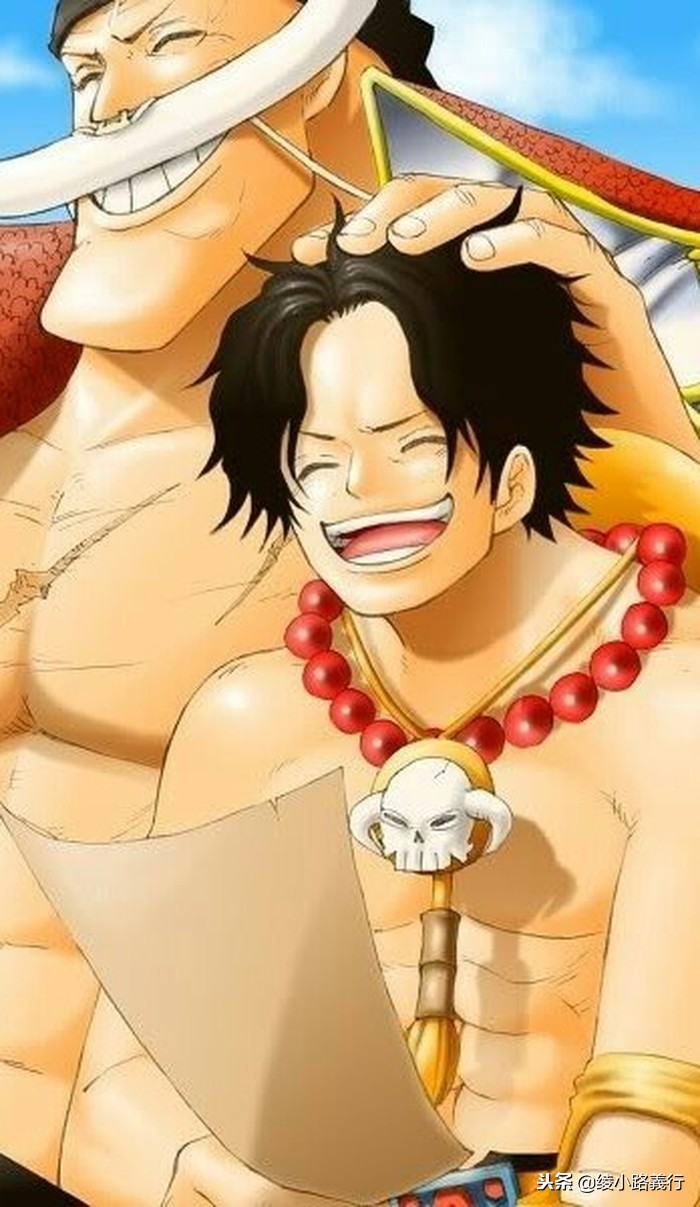 海贼王漫画人物叫什么名,海贼王的漫画有哪些