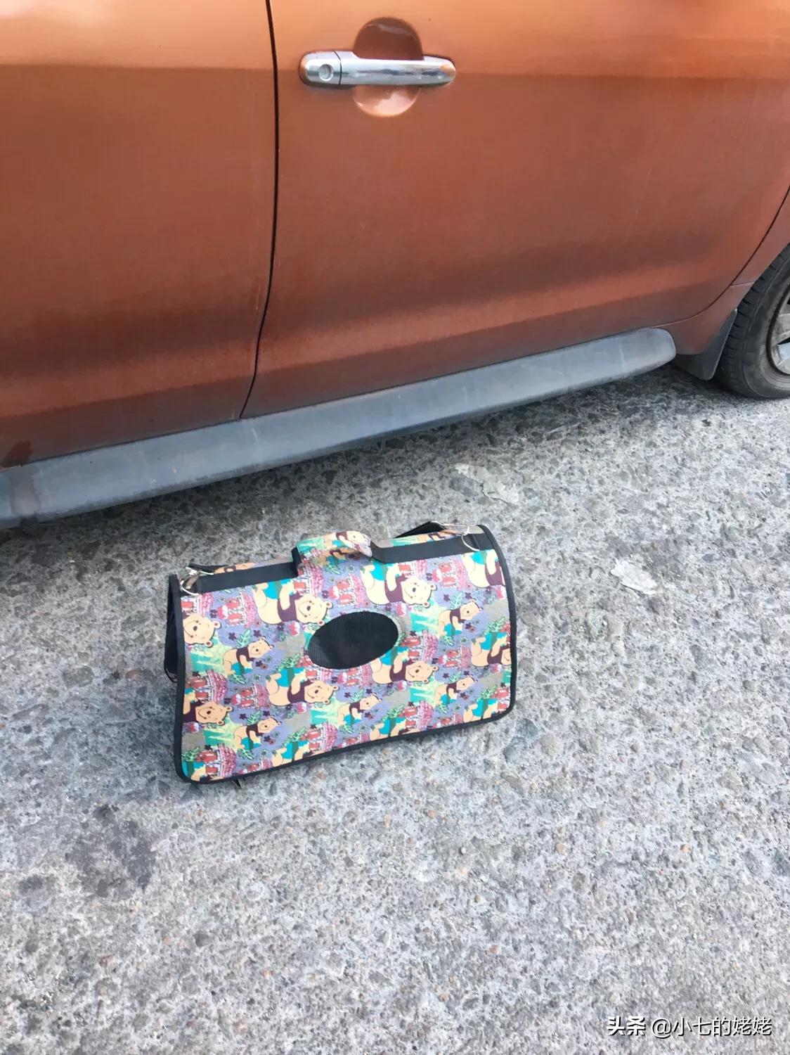 进退两难我们怎么办,进退两难有什么办法