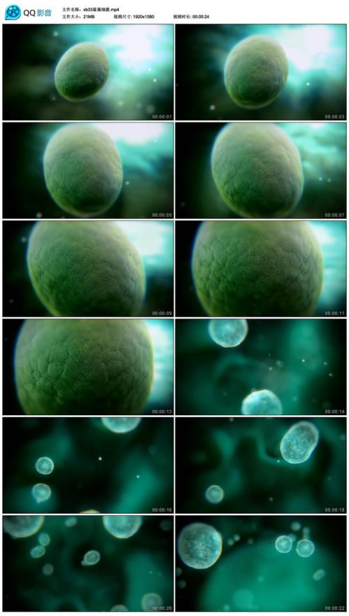 地球氧气之母毒杀非洲数百头大象？非洲大象离奇死亡谜底揭开