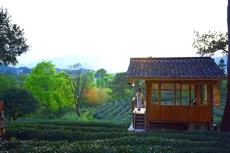 【美文共享】春天，人间皆可爱