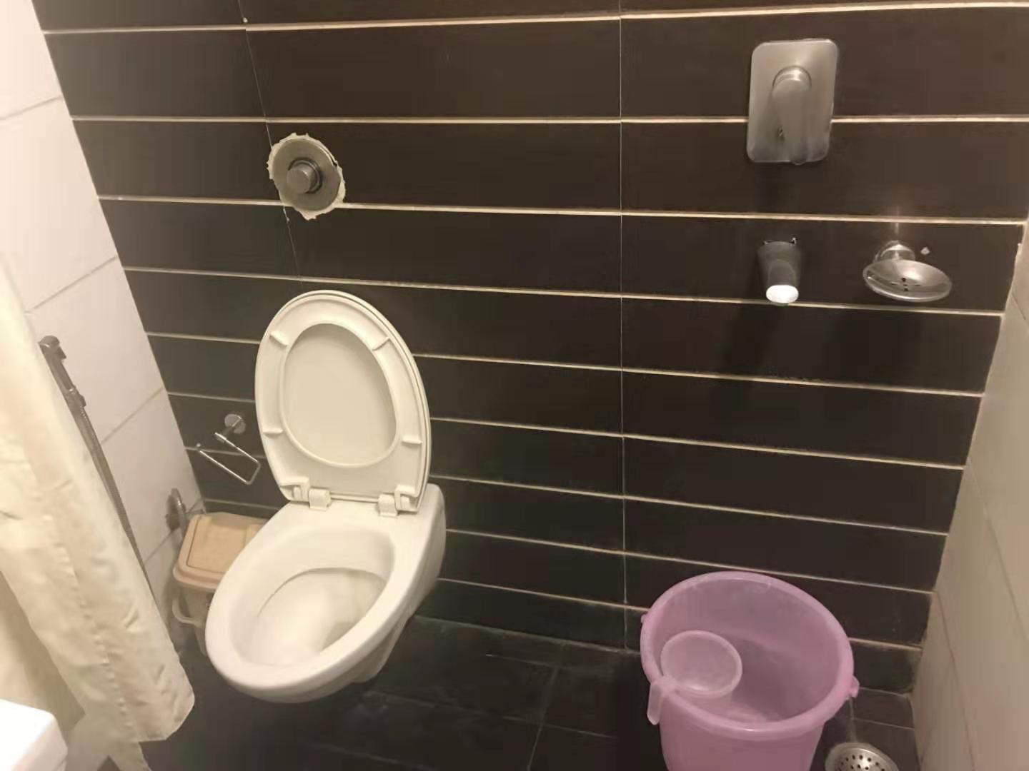 印度见闻大全,中国印度见闻录