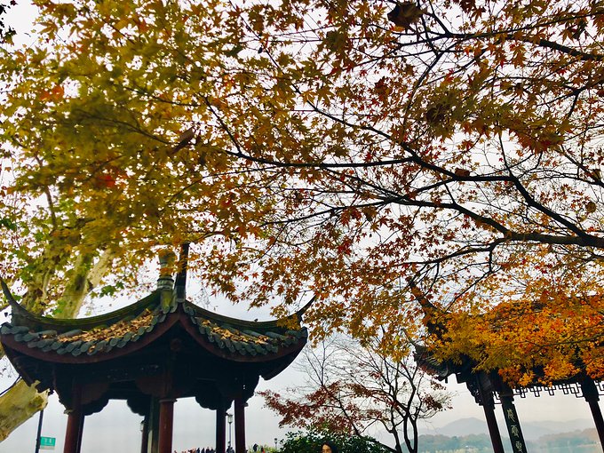 有始有终方能圆满2018年的告别行走