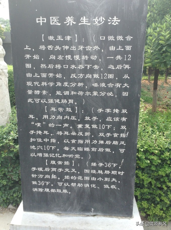 西安兵马俑和大唐不夜城旅游攻略,古都西安兵马俑与大唐芙蓉园一角