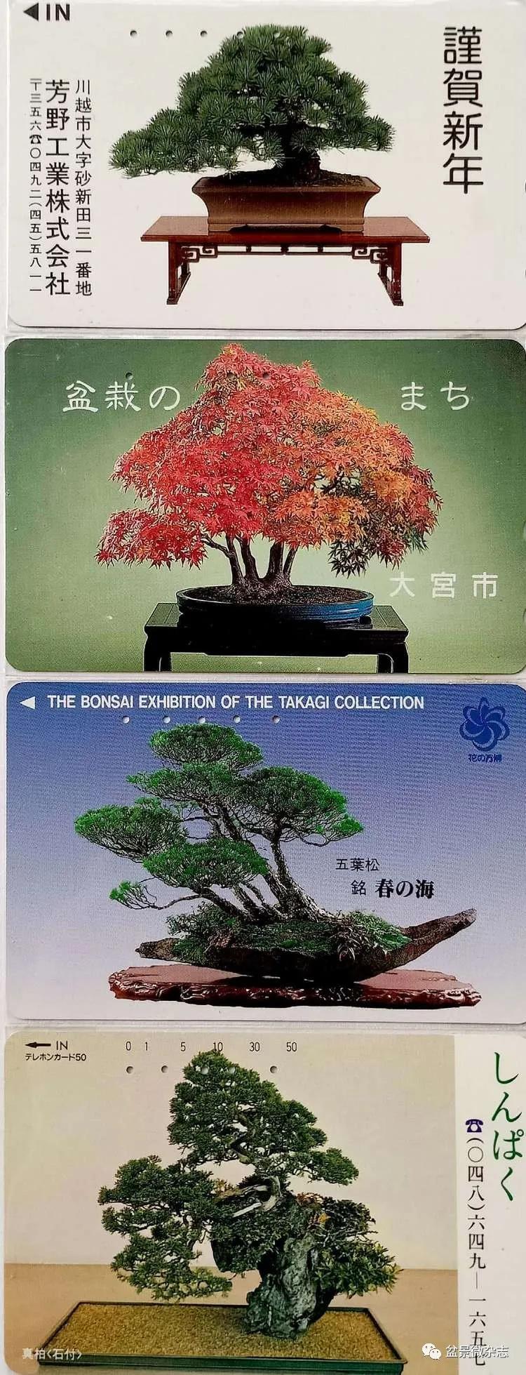 鐩嗘櫙鑱旂郴鐢佃瘽鍙风爜,涓鐩嗘櫙鑱旂郴鏂瑰紡