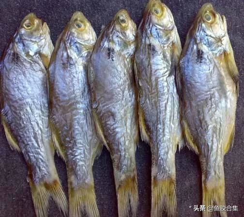 什么鱼胶适合长期保存,鱼胶用什么储存