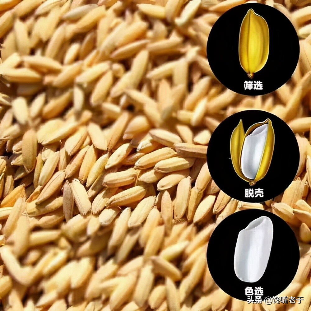 大米库房怎么放不生虫,为什么超市大米敞开放也不坏