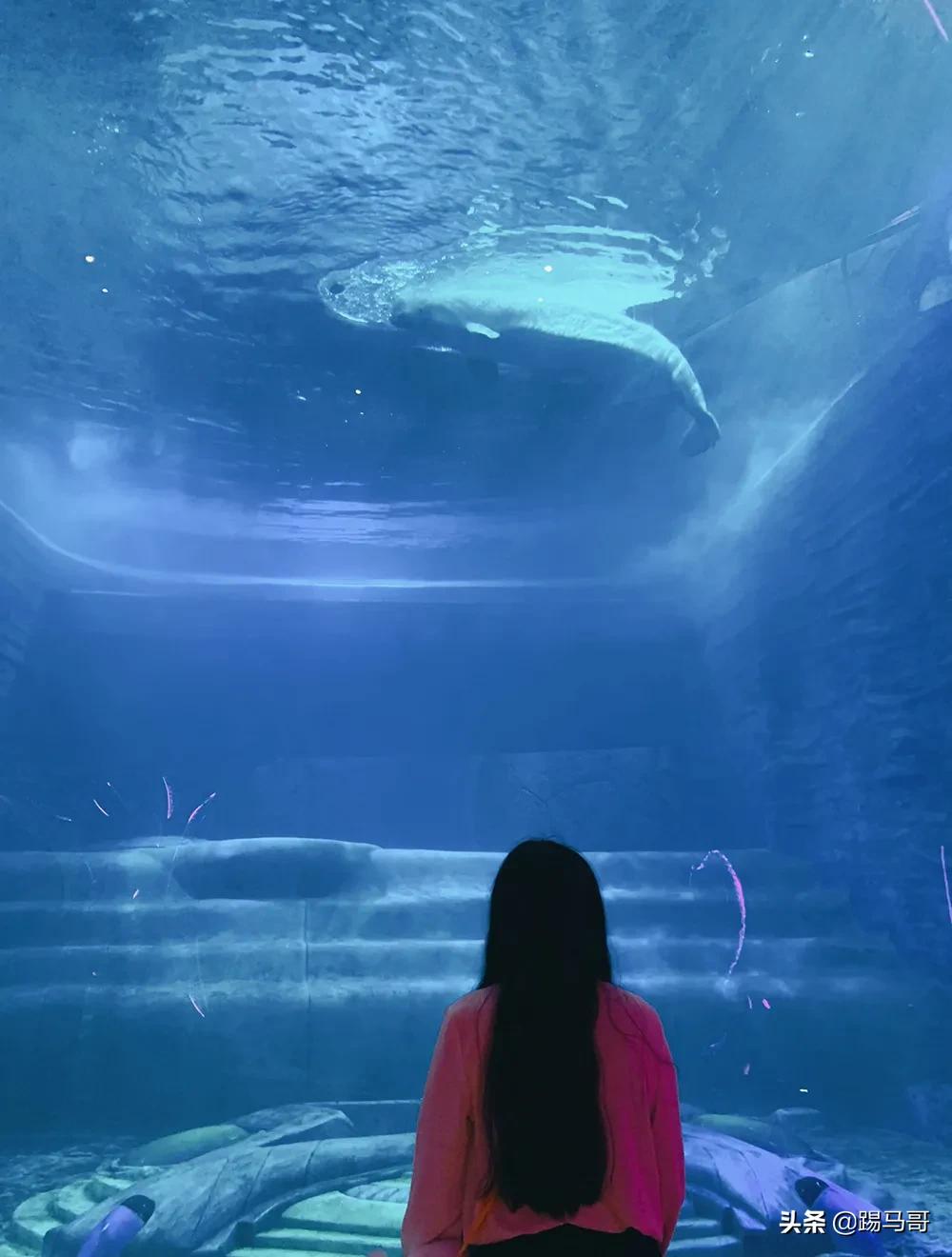 三亚不值得去的地方,三亚不值得去的景点有哪些