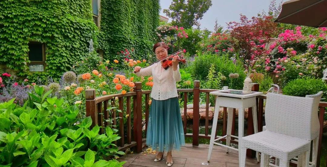 北方一年四季都开花的花园,东北花园四季开花植物