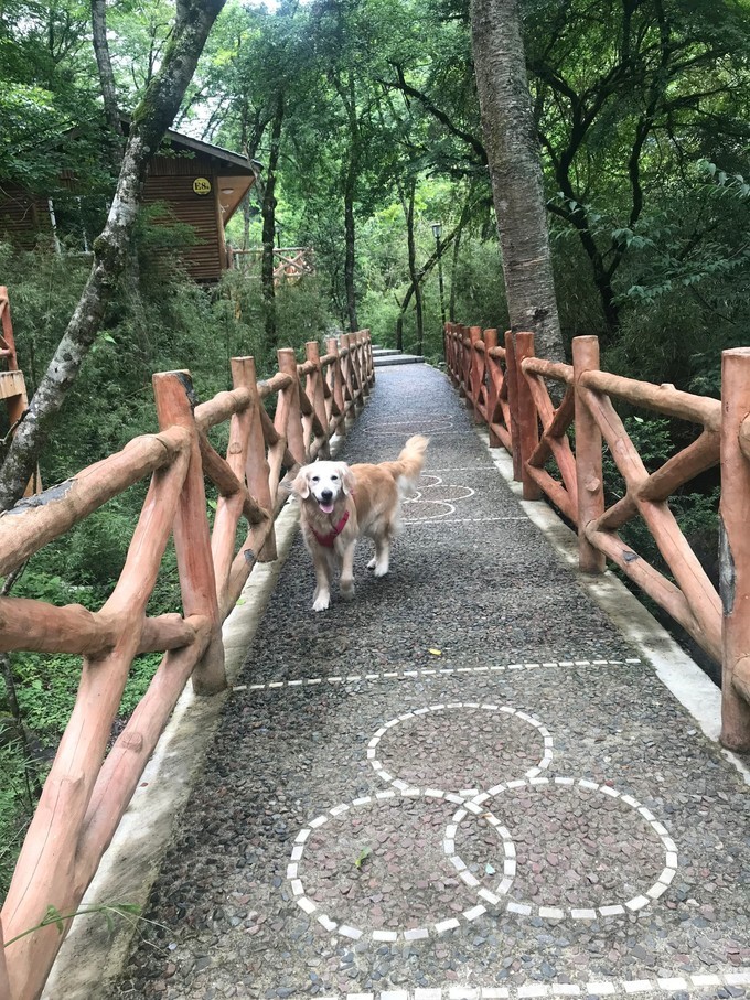 成都喇叭河自驾,自贡到喇叭河自驾