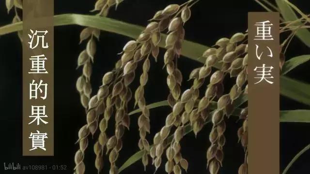 虫和人都没有错，都只是为了生存—《虫师》