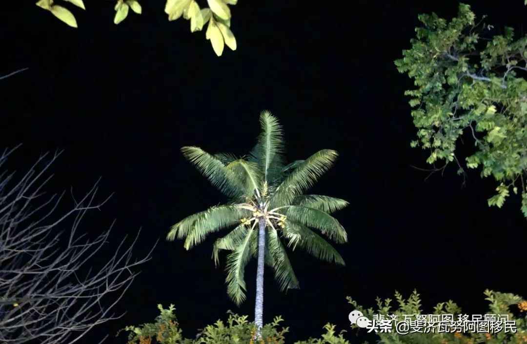 带你走进斐济,斐济华人真实生活