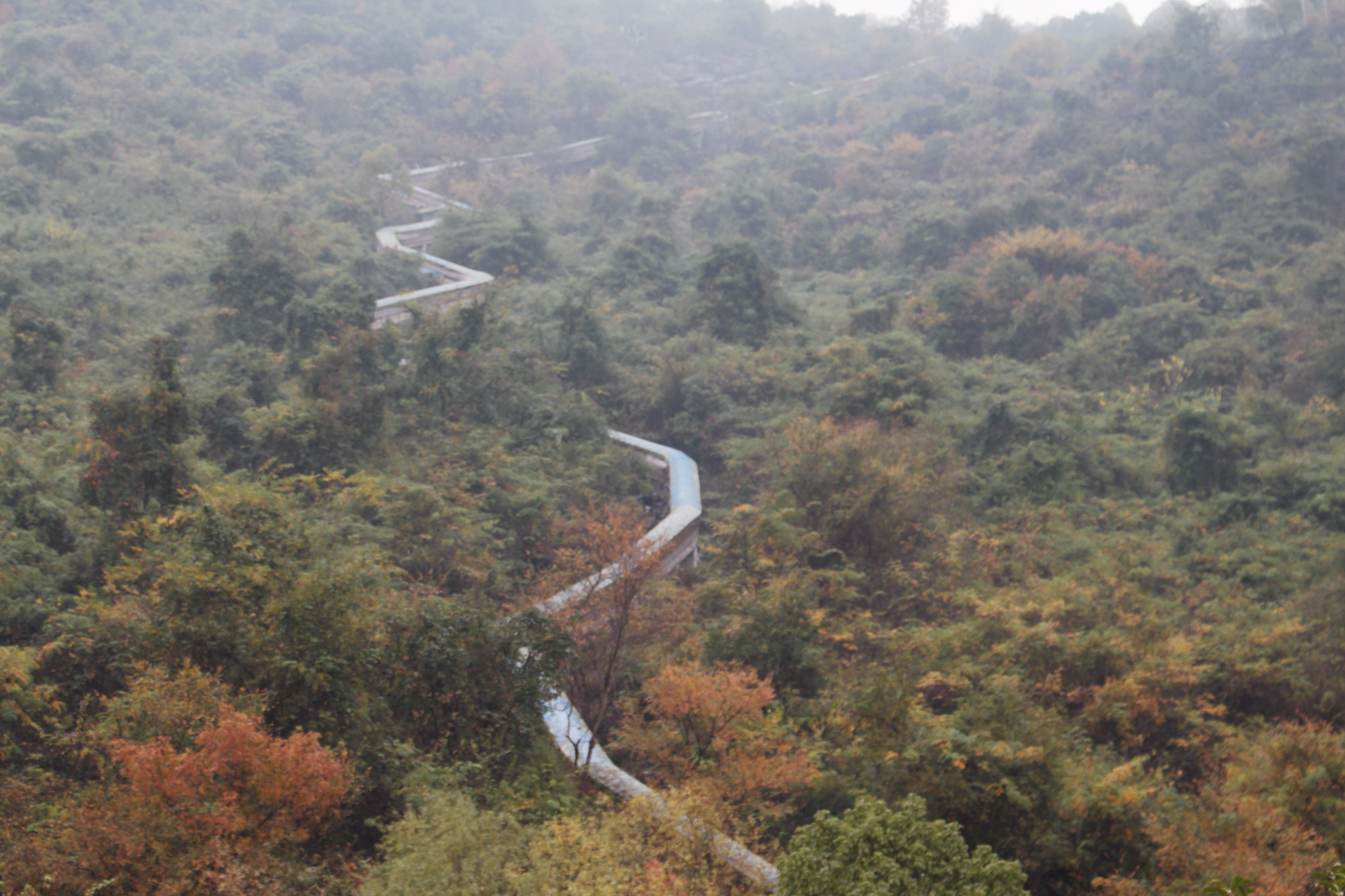 现在浙江最火的一个免费景点,浙西景区