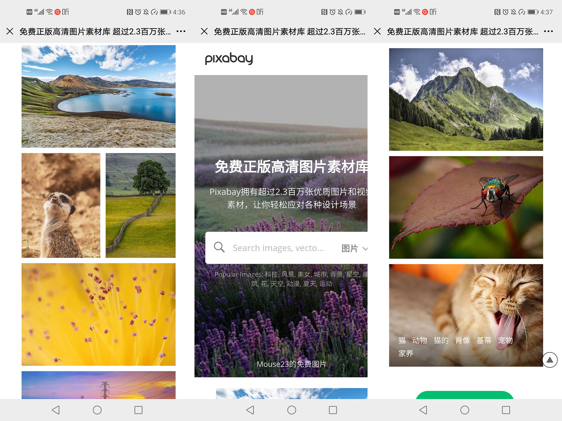 怎么把二维码链接转为二维码,网页链接制作二维码