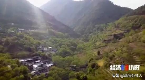 云南核桃批发价是多少钱一斤,云南的核桃价格多少一斤