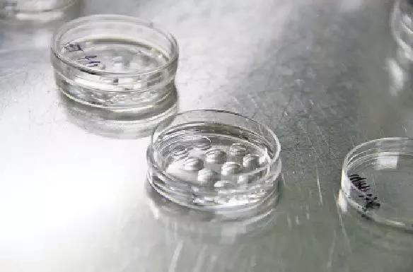 当卵子和精子相遇多少天受孕,试管精子和卵子相遇