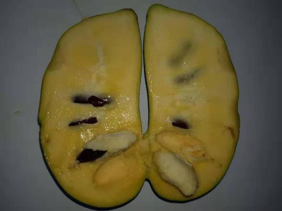 世界这么大你知道有几种水果吗,世界上都有哪些可以吃的水果