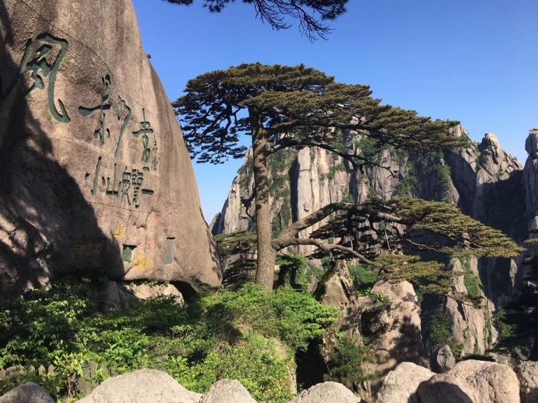 杭州去江西婺源自驾游攻略,杭州自驾4-5天旅游攻略