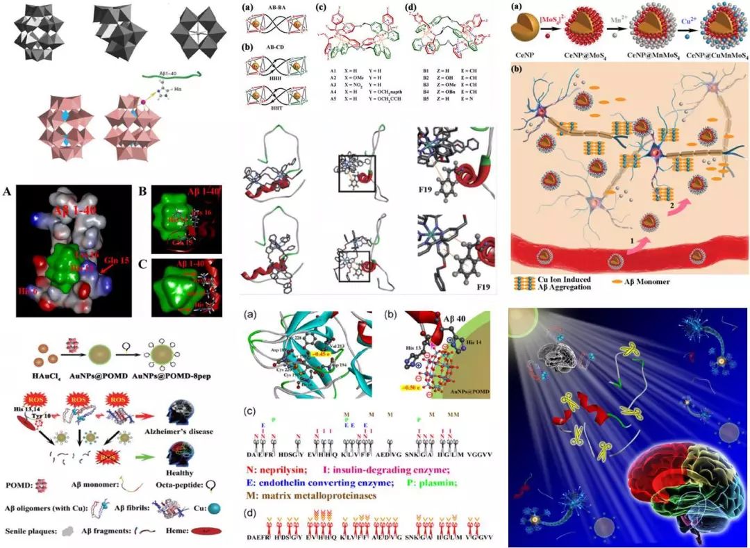阿尔茨海默病寿命都超不过10年,百年阿尔茨海默病