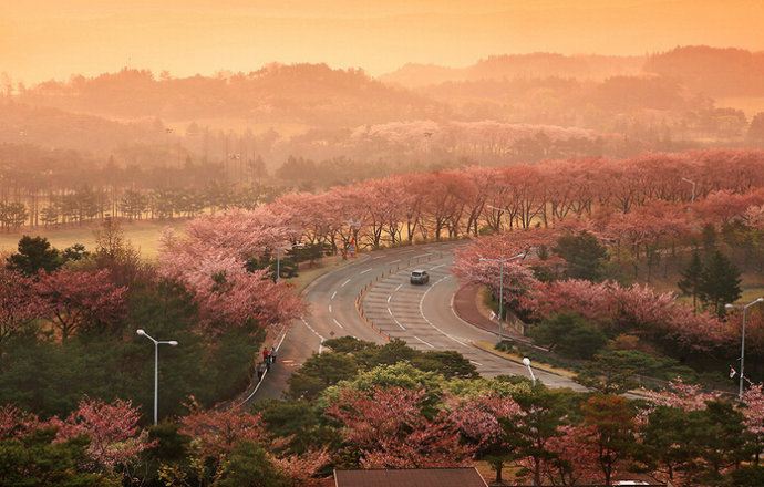 49张照片告诉你韩国与众不同,50张照片让你了解韩国