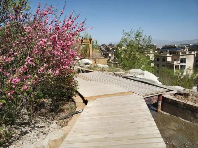 绿地城二期绿化乌鲁木齐,乌鲁木齐中海万锦公馆绿化环境