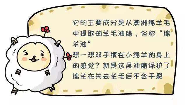 澳洲绵羊油哪款补水保湿效果好,澳洲绵羊油好用吗