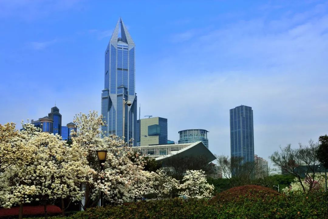 在上海一个月工资两万什么水平,月薪不过3万的看过来