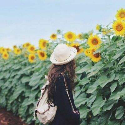 <html>
<head><title>502BadGateway</title></head>
<body>
<center><h1>502BadGateway</h1></center>
<hr><center>nginx</center>
</body>
</html>
<!--apaddingtodisableMSIEandChromefriendlyerrorpage-->
<!--apaddingtodisableMSIEandChromefriendlyerrorpage-->
<!--apaddingtodisableMSIEandChromefriendlyerrorpage-->
<!--apaddingtodisableMSIEandChromefriendlyerrorpage-->
<!--apaddingtodisableMSIEandChromefriendlyerrorpage-->
<!--apaddingtodisableMSIEandChromefriendlyerrorpage-->
