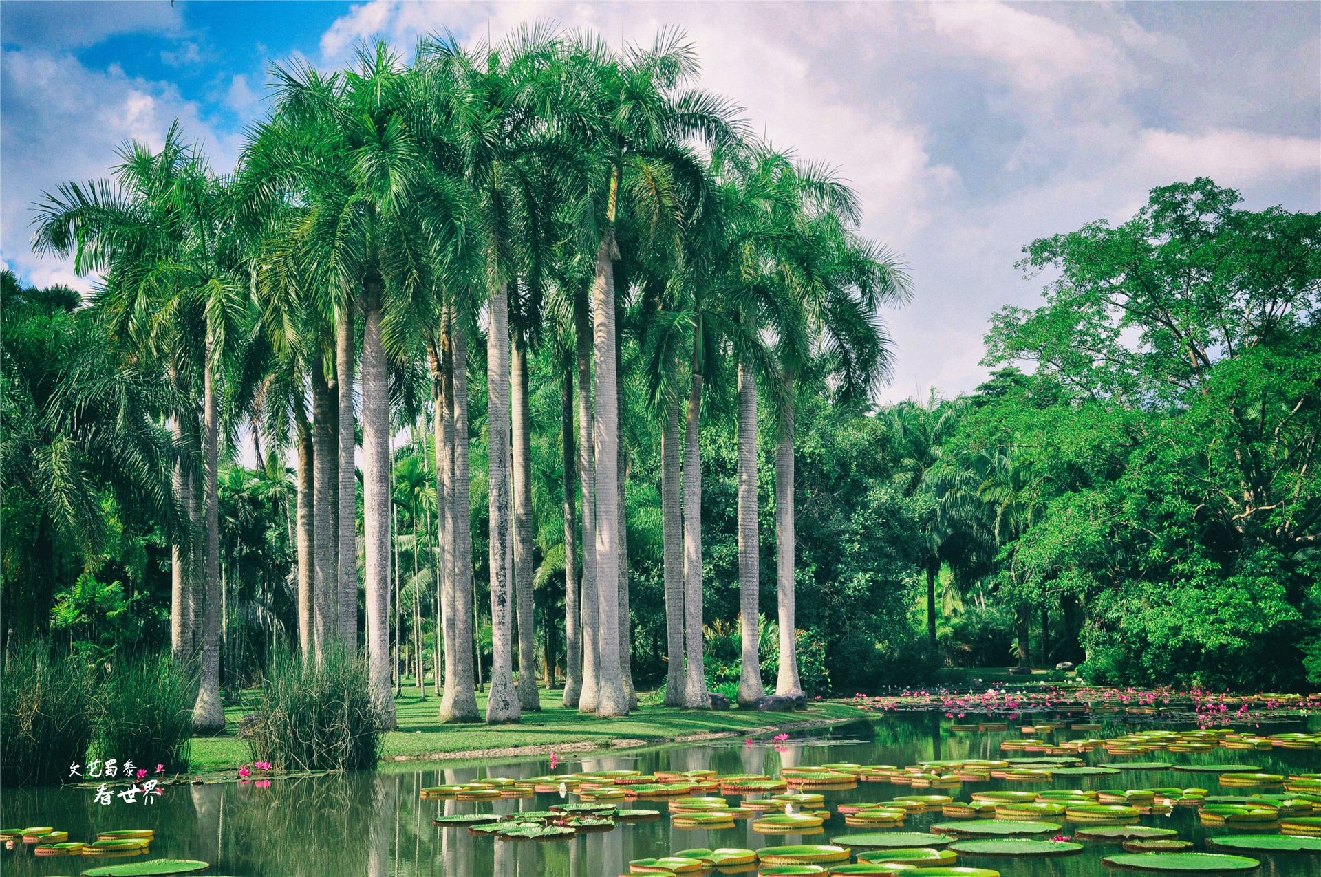 云南旅居半个月住哪合适西双版纳,西双版纳哪个地方过冬的北方人多