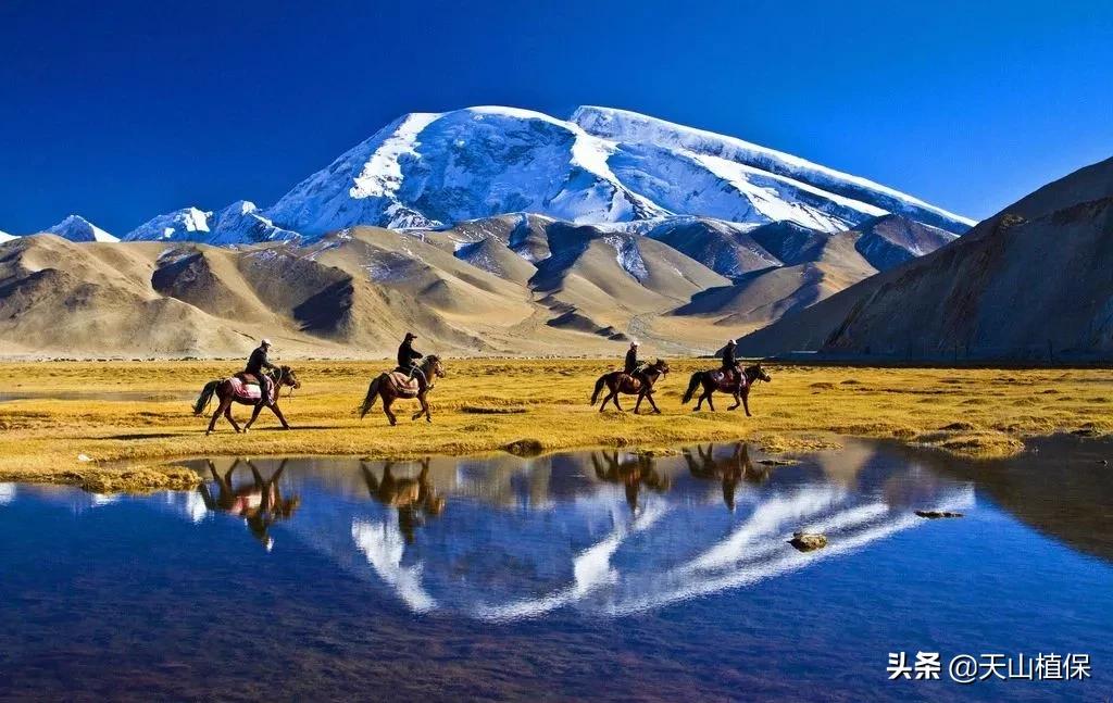 *疆新**克州，向全世界发出邀请！即将涌来大批人马