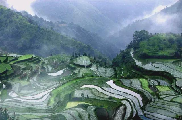 浙江有个像欧洲的地方,浙江旅游必去十大美食