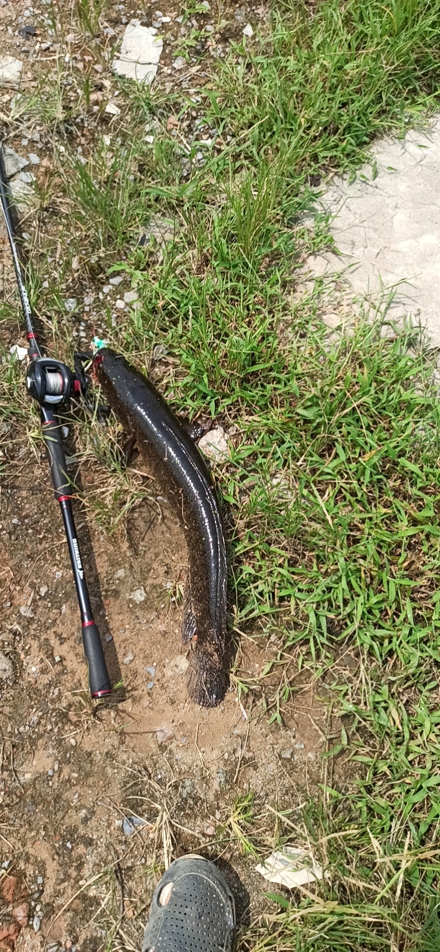 新手玩路亚应该选什么水层对象鱼,玩路亚怎么确定水库有目标鱼