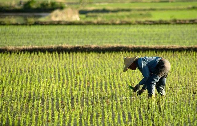 年入百万的处长点化新公务员，时代选中你的时候，也不会打招呼