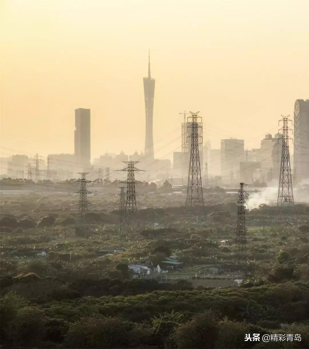 什么是麻雀定律,什么是应激反应表现有哪些
