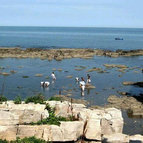 人少景美的长兴岛,长兴岛最好的景色