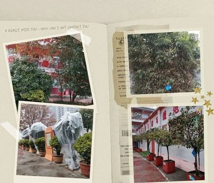 复兴百花幼儿园,邯郸复兴区所有教育机构