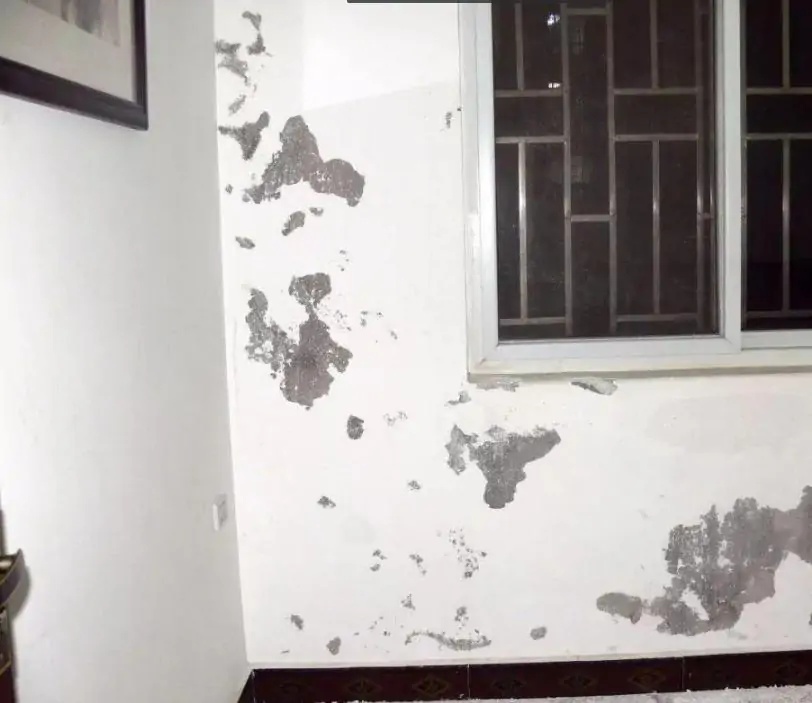 室内墙体潮湿掉皮怎样彻底处理,墙面潮湿发霉怎么修复