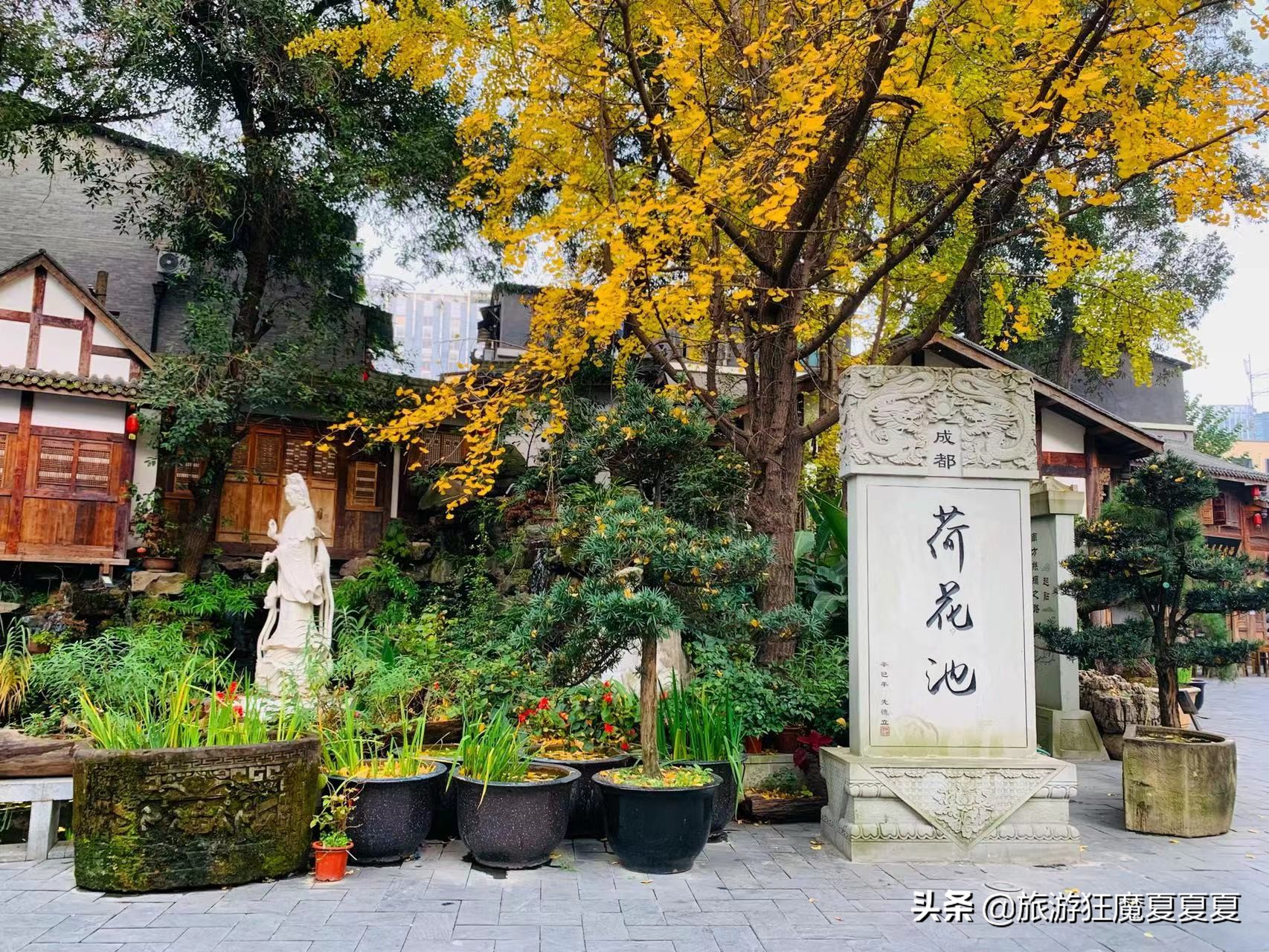 成都荷花池周围游玩,成都荷花池周围的景点