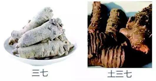 三七粉不苦是不是假的,三七粉是不是补药