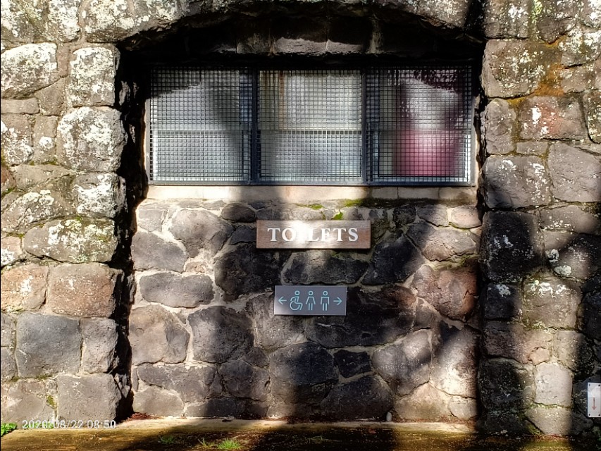 一树山,我的精神家园