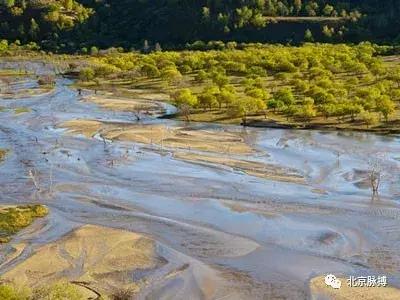 画说回龙观,北京最漂亮的森林公园