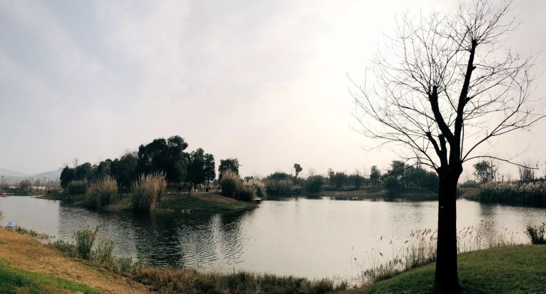 成都新增2个公园,成都到处都是公园城市