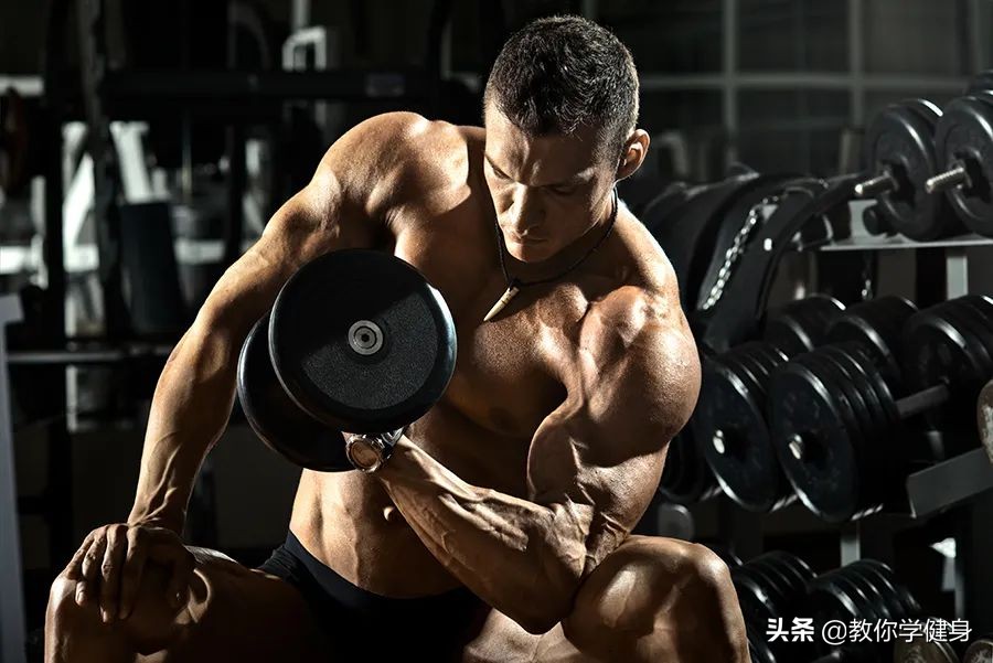 5个最佳的哑铃训练动作,哑铃训练动作大全练全身初学者