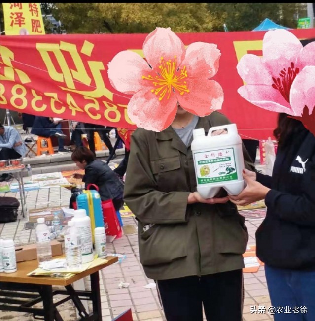 大蒜叶枯病最佳防治方法,大蒜叶枯病怎样防治