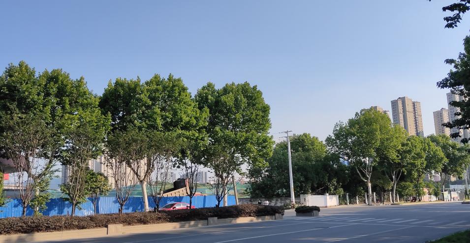 璧拌鍩庡競娲诲姩鐩爣,璧拌鍩庡競