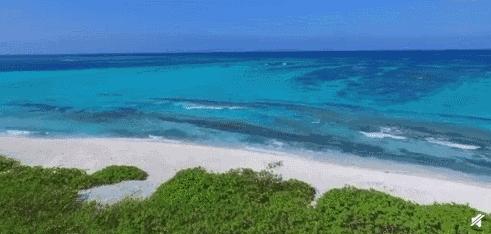 西沙群岛的美丽和富饶,西沙群岛的特殊