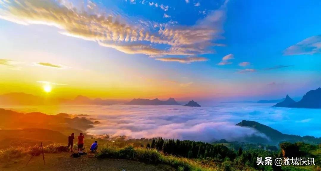 重庆无症状感染者最新情况,重庆无症状感染者在哪个区