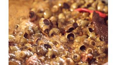 对不起韩国，螺蛳粉是中国的，炸酱面也是中国的（菲李漫画）