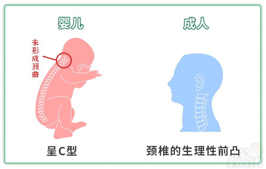 娃几岁用枕头,娃多大可以用枕头